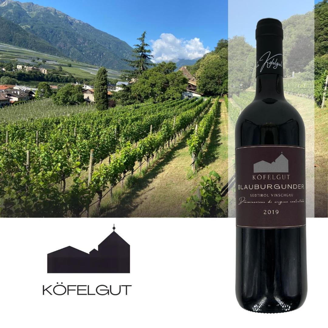 Weingut Koefelgut - Turris Vini Apartment Kastelbell-Tschars Exterior photo